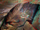 IMG_4584
